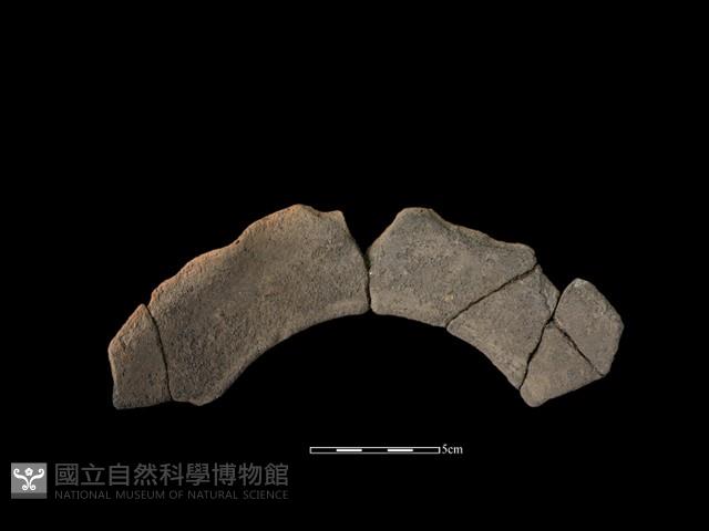 陶罐藏品圖，第2張