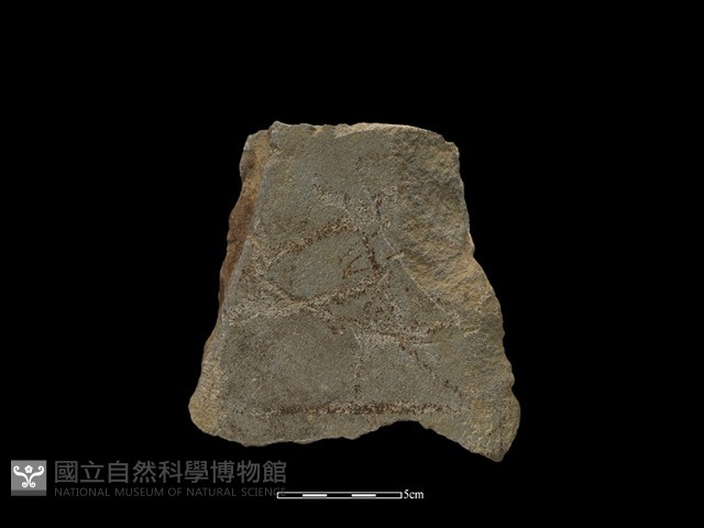 斧鋤形器藏品圖，第2張