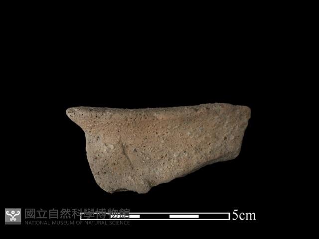 陶罐藏品圖，第2張