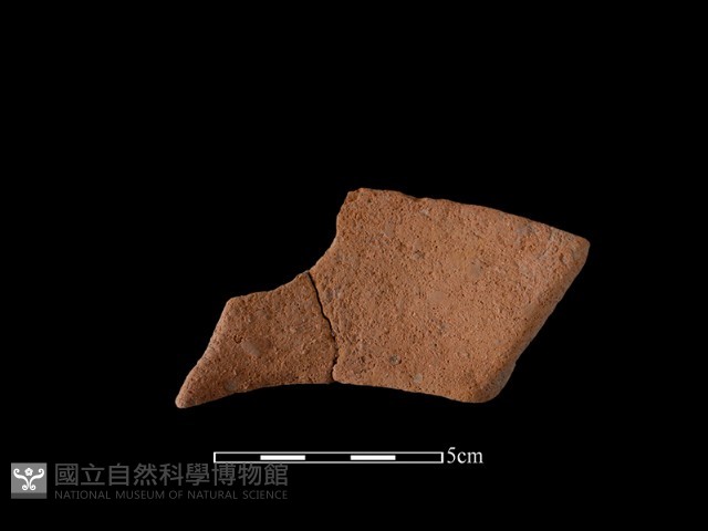 陶罐藏品圖，第2張