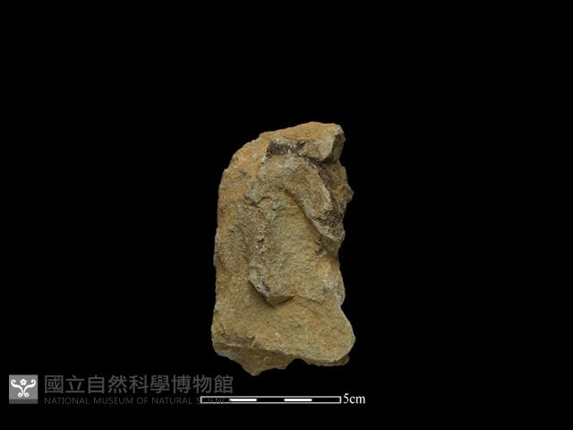 斧鋤形器藏品圖，第1張