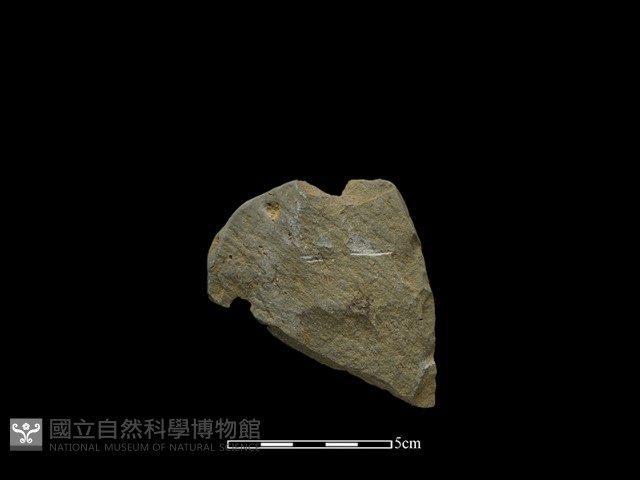 斧鋤形器藏品圖，第1張
