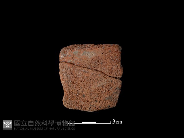 陶片藏品圖，第1張