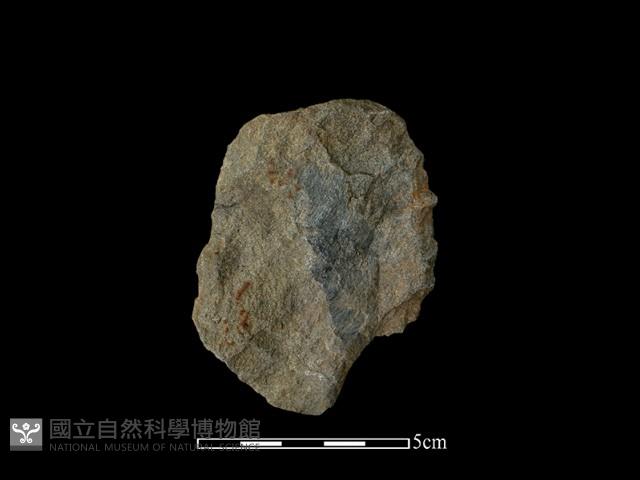 斧鋤形器藏品圖，第1張