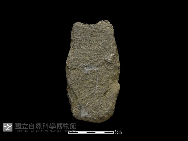 斧鋤形器藏品圖，第2張