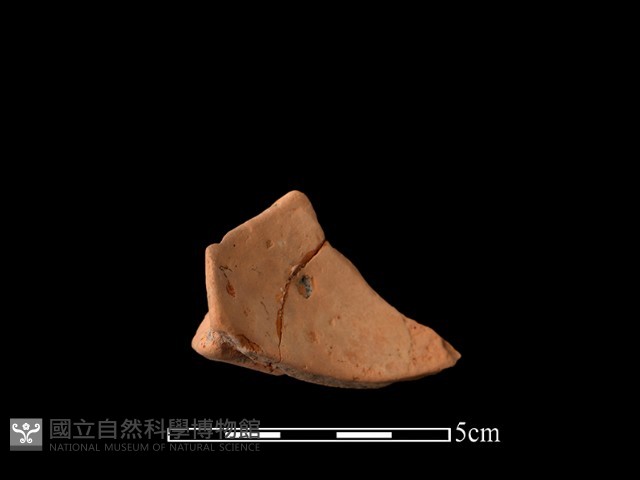 連杯形器藏品圖，第2張