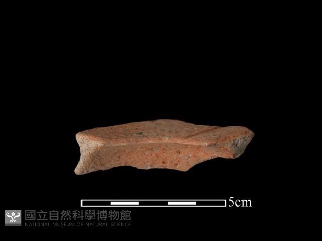 豆形器藏品圖，第2張