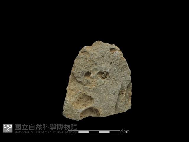 斧鋤形器藏品圖，第2張