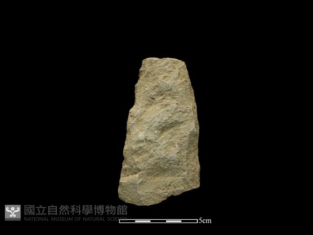 斧鋤形器藏品圖，第2張