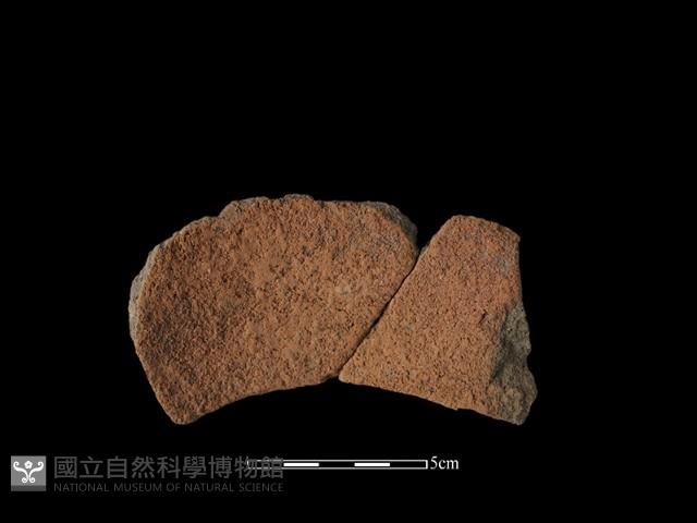 陶罐藏品圖，第1張