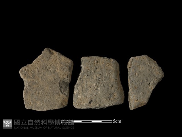 陶片藏品圖，第1張