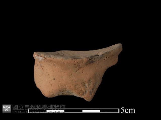 連杯形器藏品圖，第2張