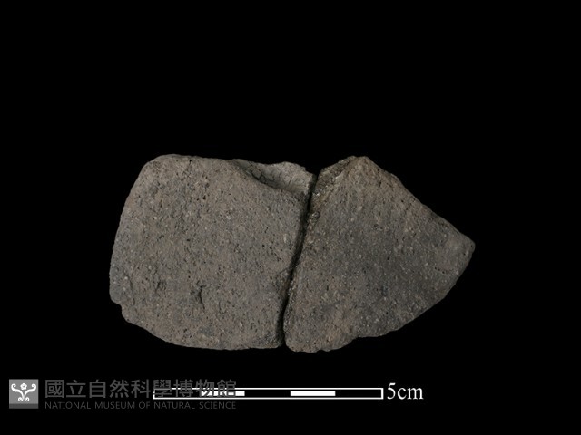 陶片藏品圖，第2張