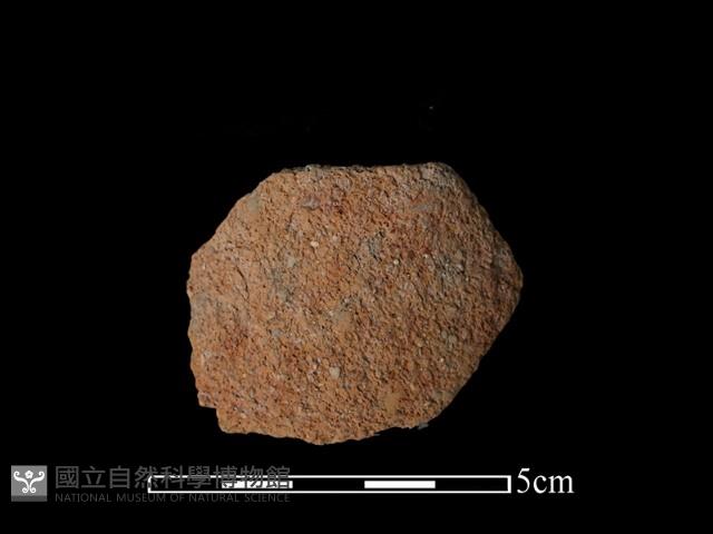 陶片藏品圖，第2張