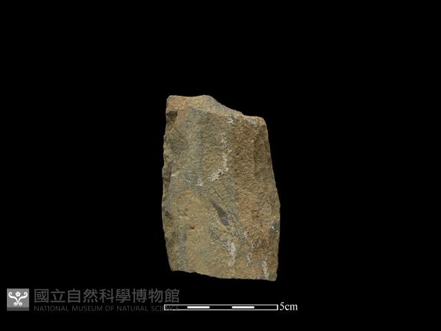 斧鋤形器藏品圖，第1張