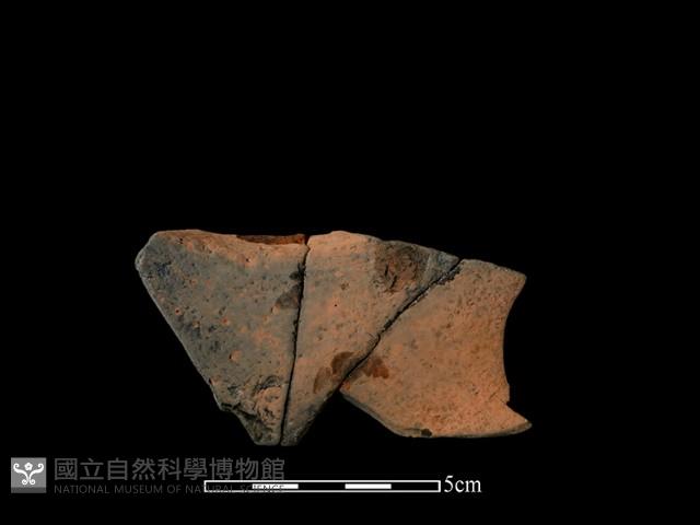 連杯形器藏品圖，第1張