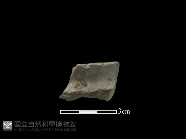 陶片藏品圖，第1張