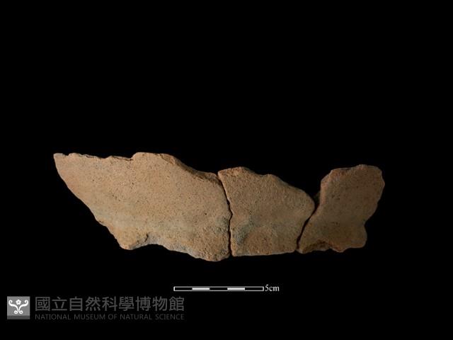 陶罐藏品圖，第2張