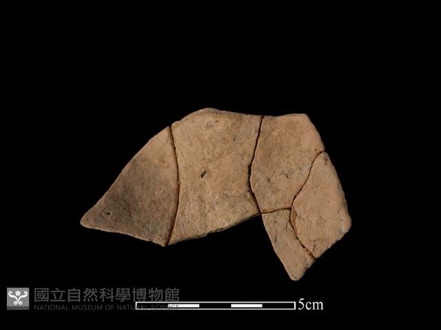 陶片藏品圖，第2張