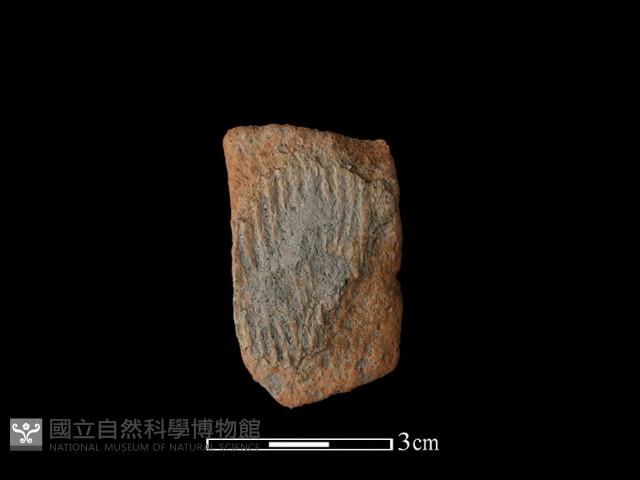 陶片藏品圖，第1張