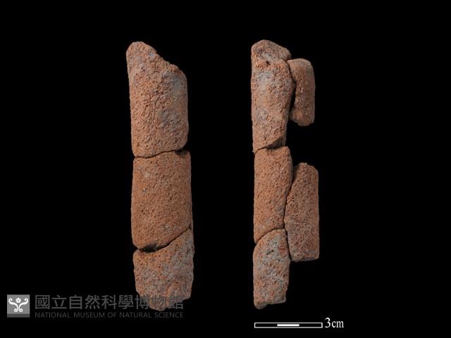 鼎足藏品圖，第1張