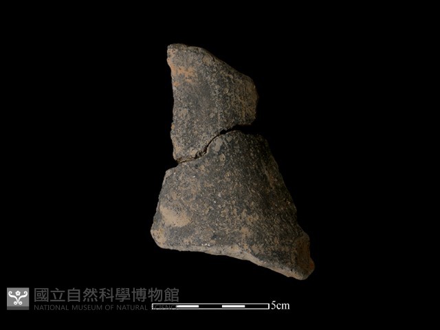 陶片藏品圖，第2張