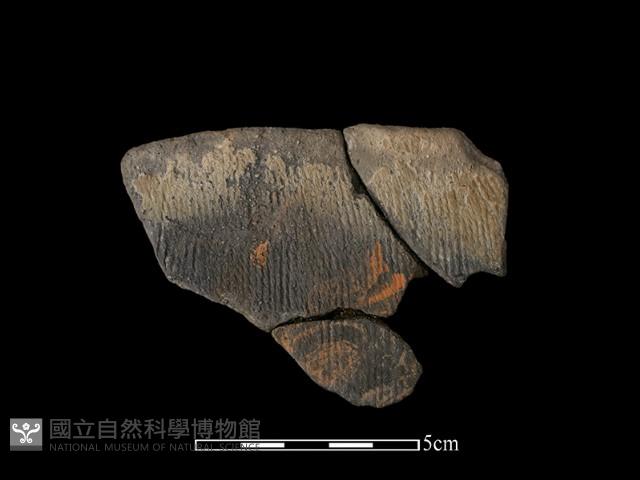 陶片藏品圖，第1張