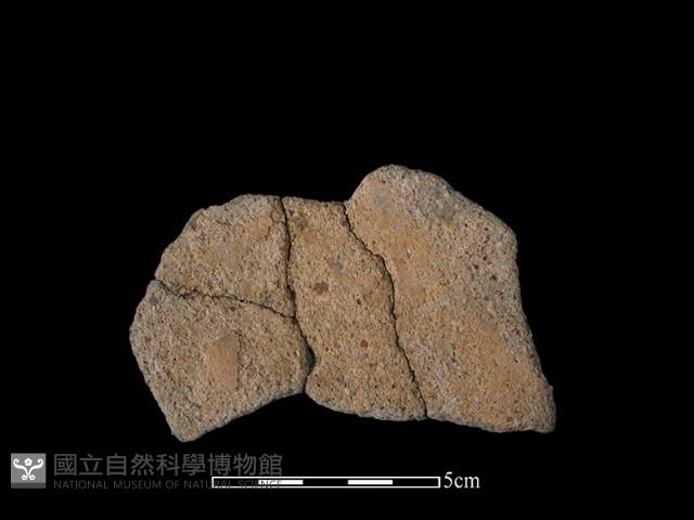 陶片藏品圖，第1張