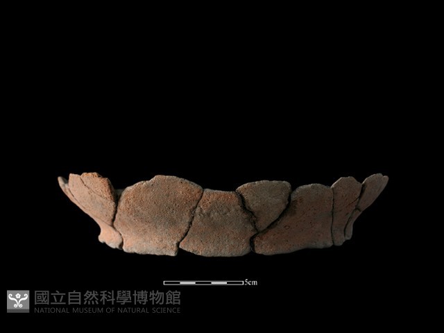 陶罐藏品圖，第2張
