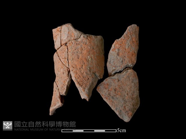 陶片藏品圖，第1張