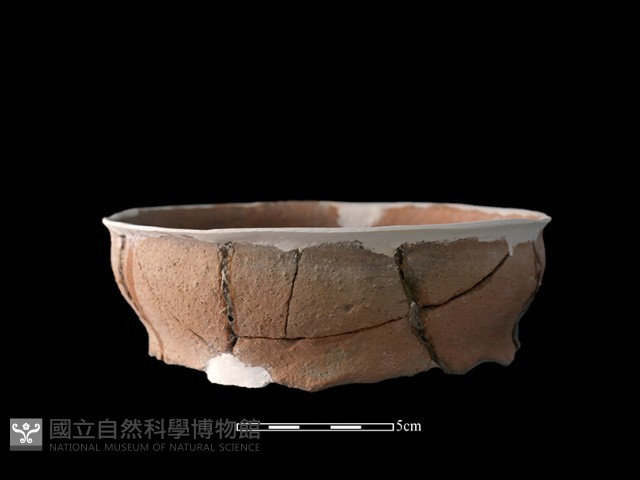 陶罐藏品圖，第1張