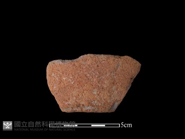 陶罐藏品圖，第2張