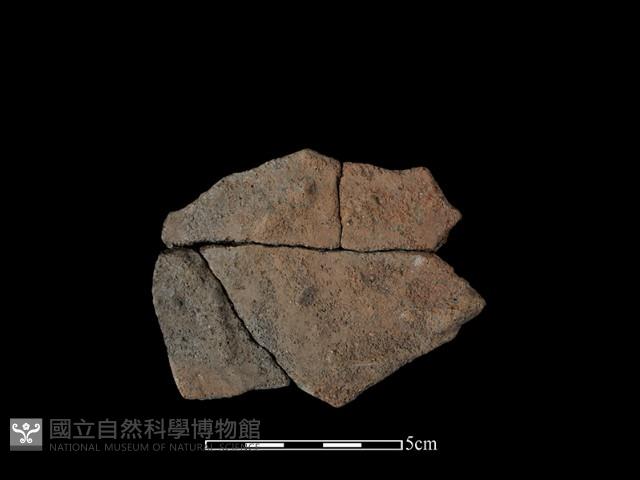 陶片藏品圖，第2張