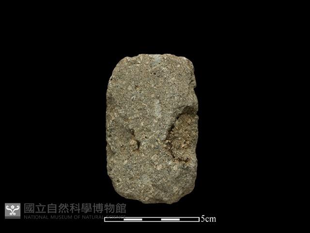 錛鑿形器藏品圖，第1張