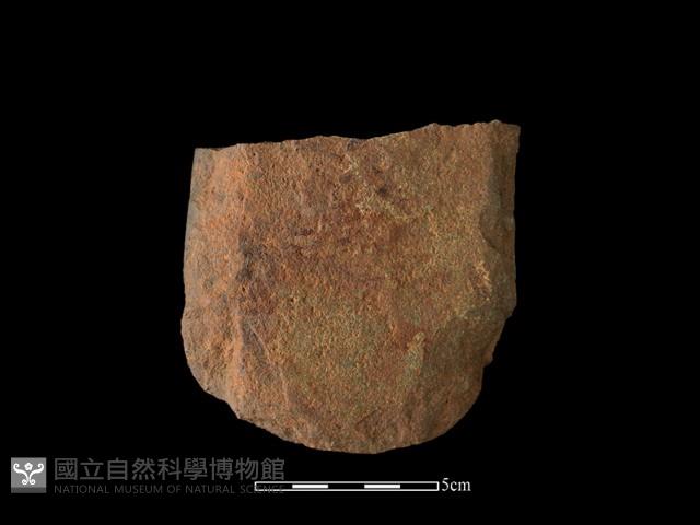 斧鋤形器藏品圖，第2張