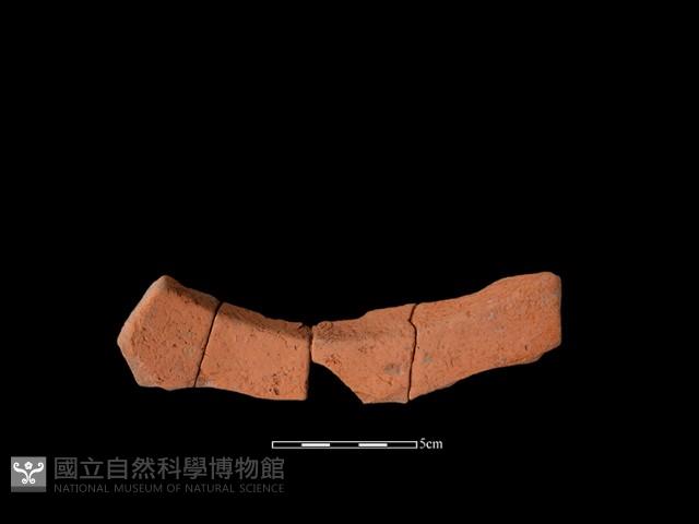 連杯形器藏品圖，第2張