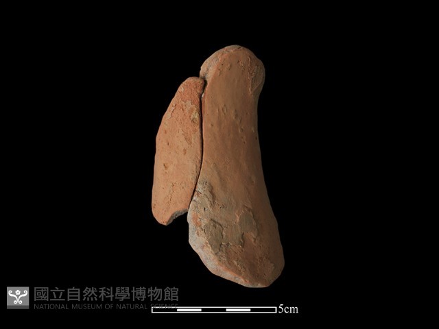 陶片藏品圖，第2張