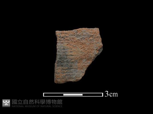 陶片藏品圖，第1張