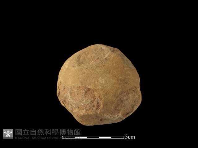 石鎚藏品圖，第1張