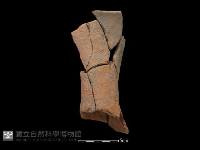 豆形器藏品圖，第2張