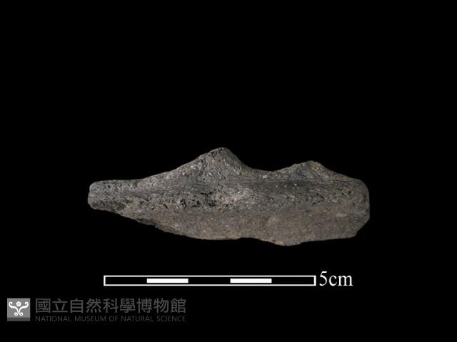 陶罐藏品圖，第2張