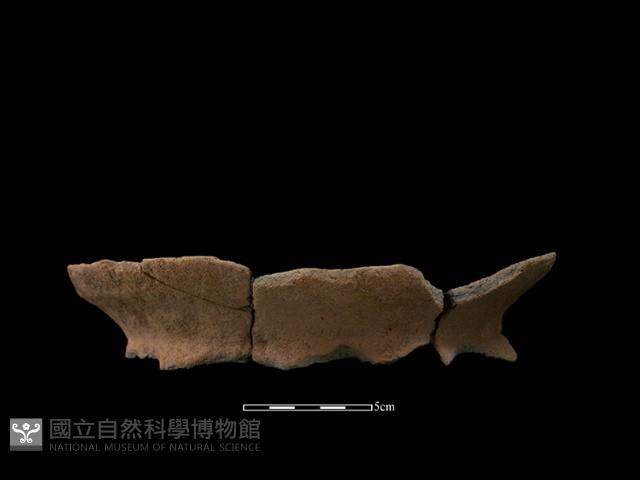 陶罐藏品圖，第1張