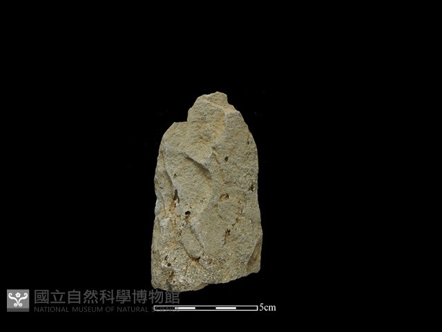 斧鋤形器藏品圖，第2張