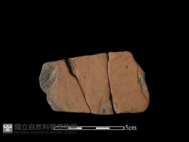 陶片藏品圖，第2張