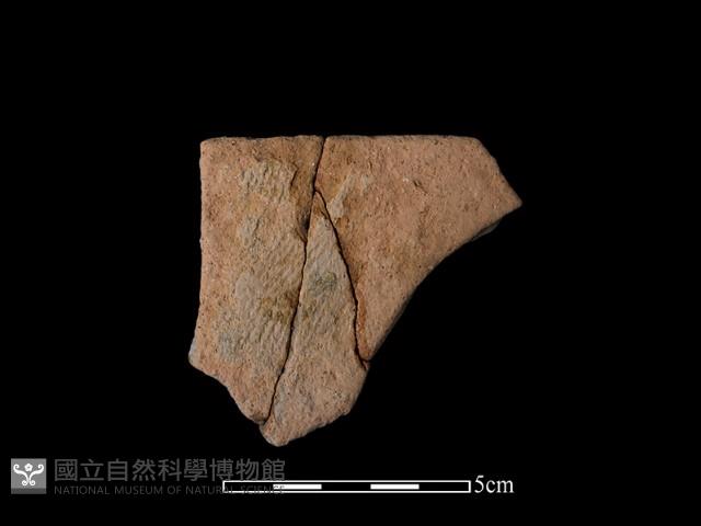 陶片藏品圖，第1張