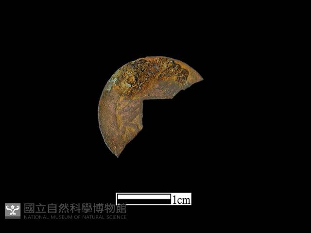 銅錢藏品圖，第2張