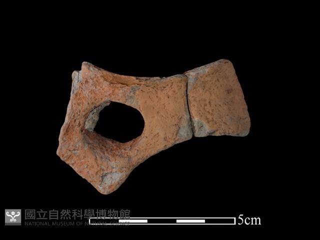 連杯形器藏品圖，第1張