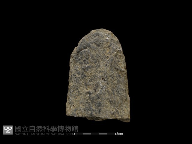 斧鋤形器藏品圖，第2張