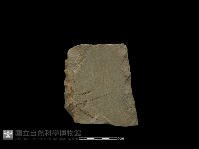 磨製斧鋤形器藏品圖，第2張