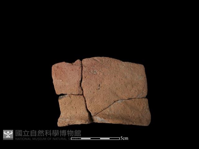 陶罐藏品圖，第1張